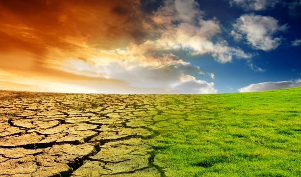 Descubren una inesperada reducción de carbono orgánico en zonas áridas por el cambio climático (Big Stock)