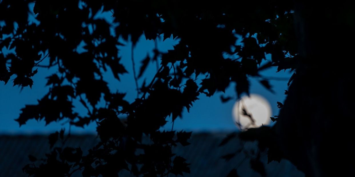 Luna Llena de septiembre: todo lo que necesitas saber (Europa Press) Luna Llena de septiembre: todo lo que necesitas saber (Europa Press)