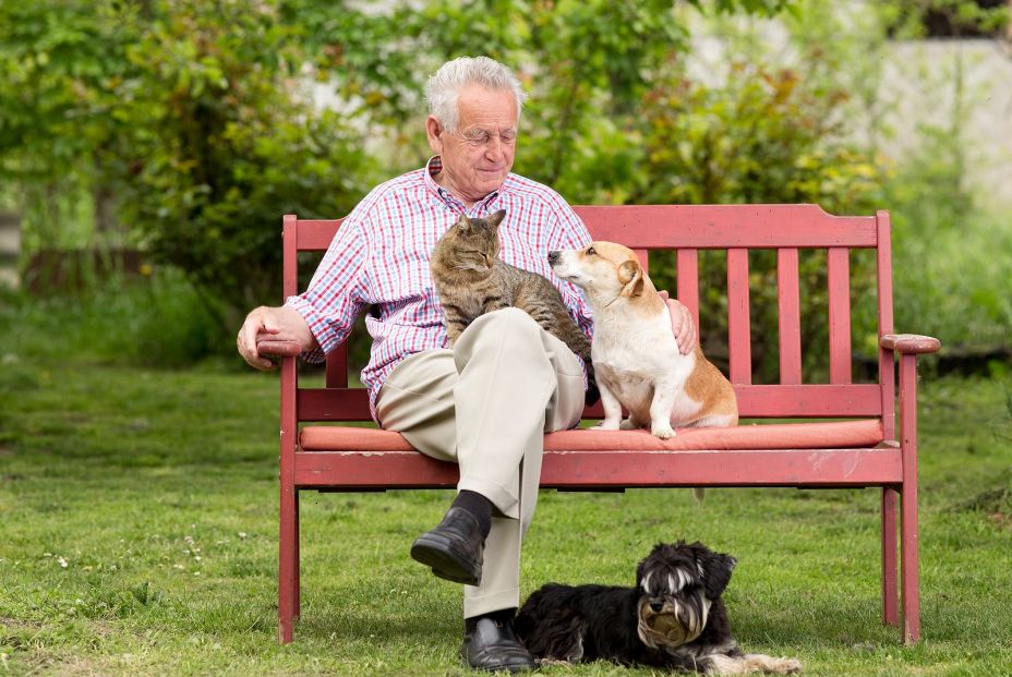 La IA tiene la herramienta clave para descifrar el lenguaje animal