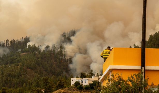 Crean un gel que protege las casas de los incendios forestales