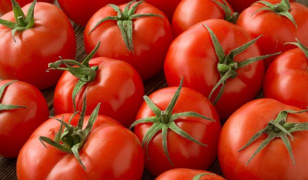 Madrid estudia el cultivo de once clases de tomate para mejorar su calidad y rendimiento