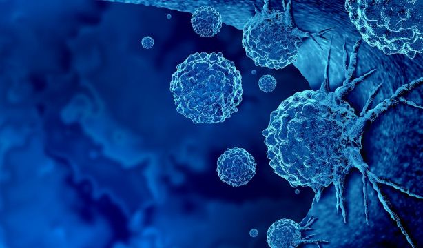 Crean una plataforma de Inteligencia Artificial ágil y versátil para 'predecir' el cáncer