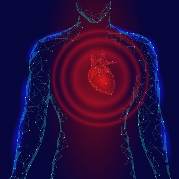 Descubierto un nuevo factor de riesgo cardiovascular y un fármaco que puede mitigar sus efectos Descubierto un nuevo factor de riesgo cardiovascular y un fármaco que puede mitigar sus efectos