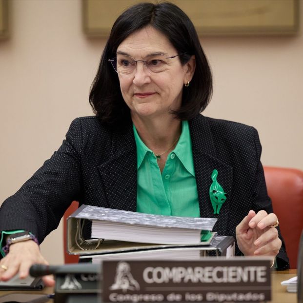 La presidenta de la Comisión Nacional de los Mercados y Competencia (CNMC), Cani Fernández La presidenta de la Comisión Nacional de los Mercados y Competencia (CNMC), Cani Fernández