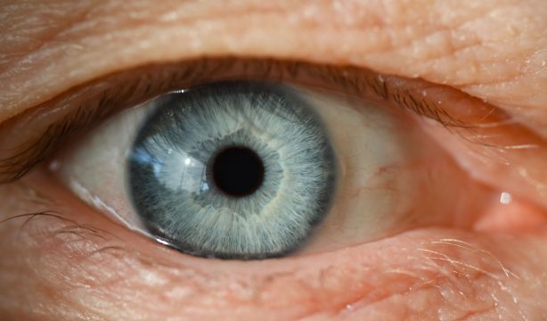 Uno de cada cuatro mayores de 75 años sufre degeneración de retina