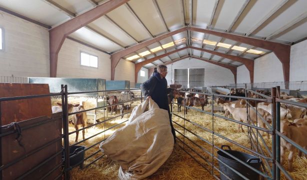 Lanzan la cuarta edición de Proyecto Bardos para impulsar el emprendimiento de las mujeres rurales (Europa Press)