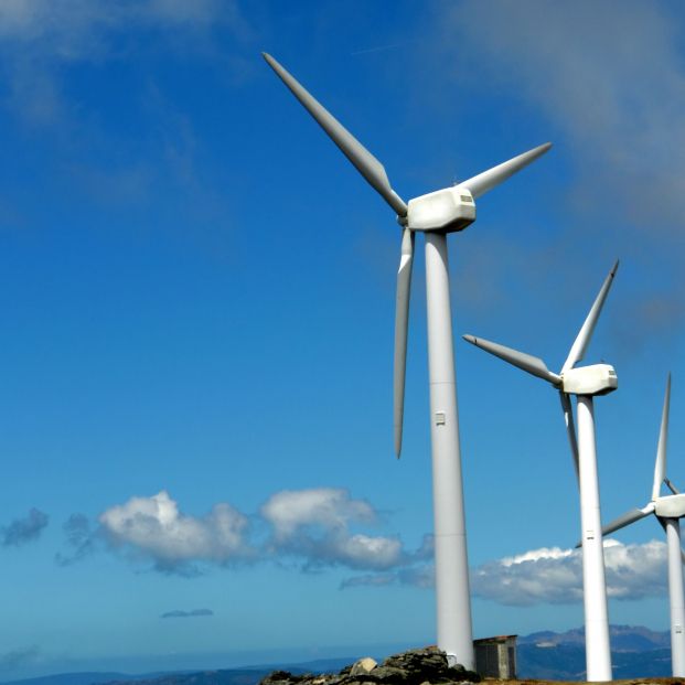 El Banco de España prevé un ahorro en la factura de la luz del 50% para 2030 por las renovables