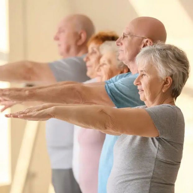 universidad valencia plataforma aprendizaje electronico cuidado mayores universidad valencia plataforma aprendizaje electronico cuidado mayores