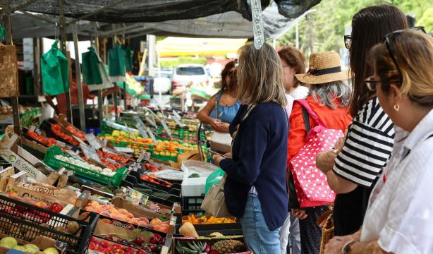 Fin del IVA del 0% de los alimentos básicos: estos productos suben de precio desde el 1 de octubre