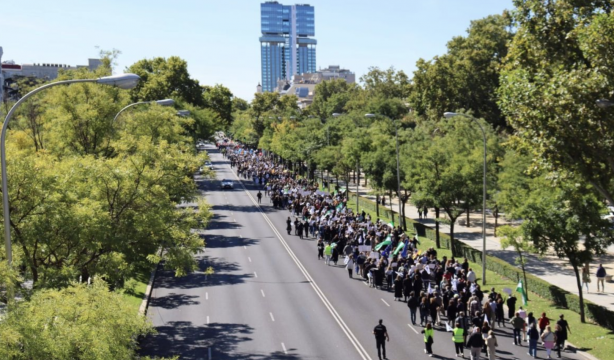 La manifestación para pedir una “pasarela” al RETA no consigue reunir a la mayoría de profesionales