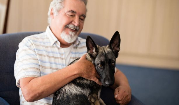 Este es el nombre de perro más común en España