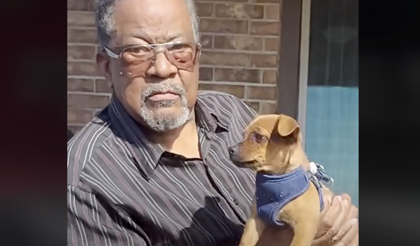 Un hombre mayor adopta un perro tras una operación y su amistad se vuelve viral