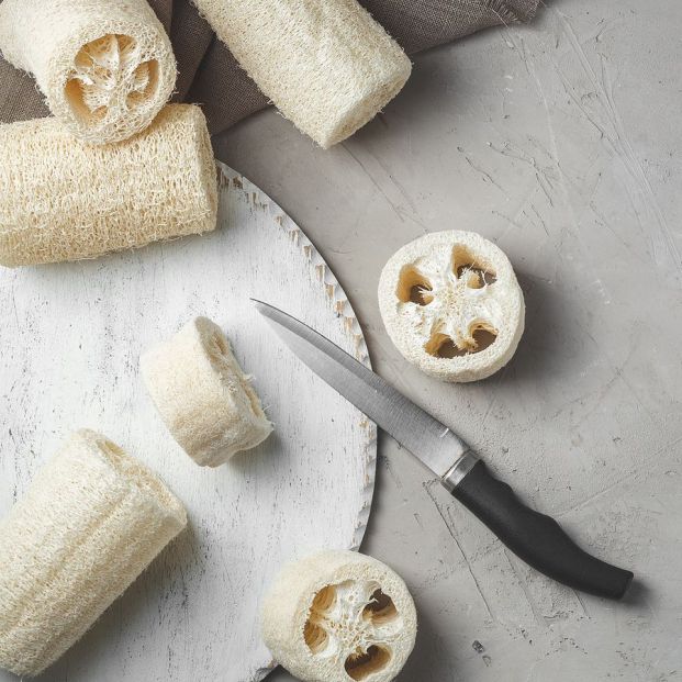 Cómo hacer una esponja natural vegetal Cómo hacer una esponja natural vegetal