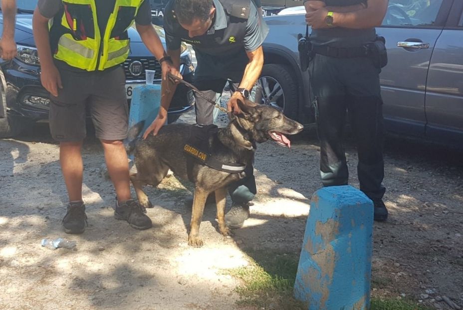 El sargento de la Guardia Civil y su perro Xena a la que toca que hallaron el cadáver de Blanca Fernández Ochoa El sargento de la Guardia Civil y su perro Xena a la que toca que hallaron el cadáver de Blanca Fernández Ochoa