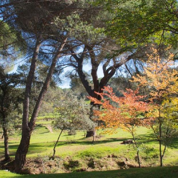 Monte pilar Monte pilar