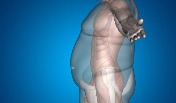 Una combinación de 14 'genes de la delgadez' permite perder el doble de peso