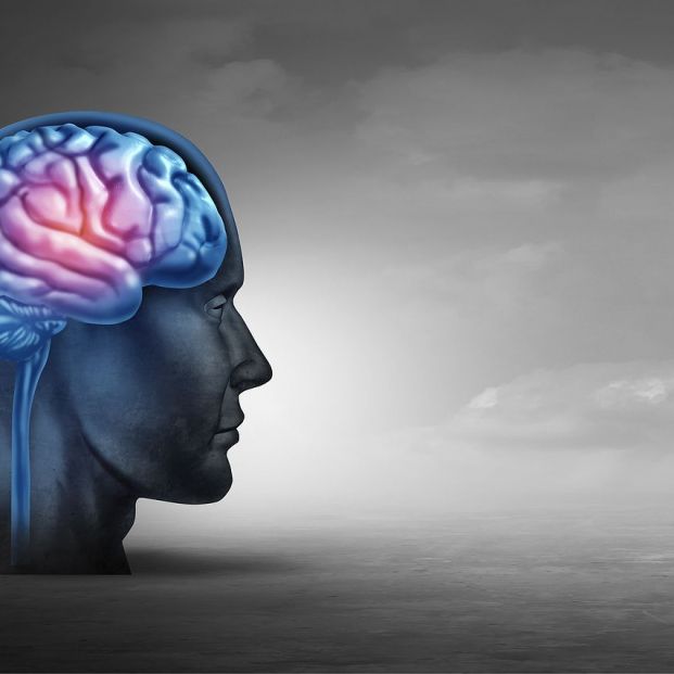 Memoria cerebral. Fuente: Bigstock Memoria cerebral. Fuente: Bigstock