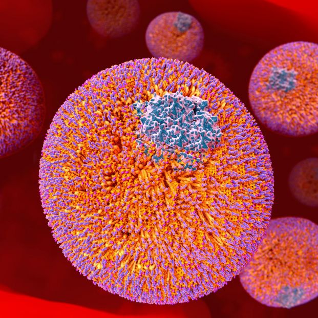 ¿Cuál es la diferencia entre los triglicéridos y el colesterol?