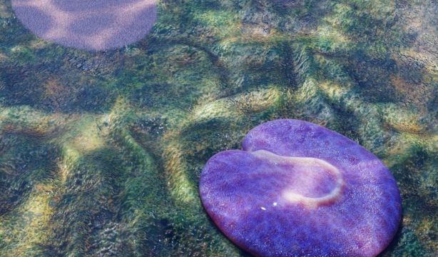 Uno de los primeros animales de la Tierra parecía un robot aspiradora