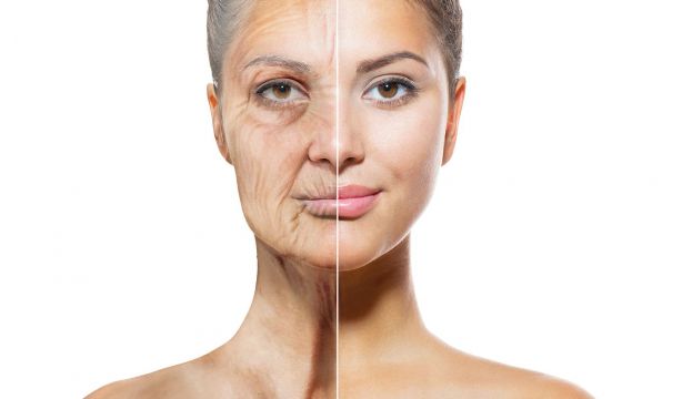 Hallan la molécula que logra regenerar la piel envejecida. Bigstock