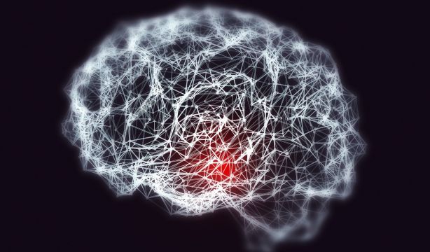 Explicación al 'miembro fantasma': El cerebro mantiene intacto su mapa corporal tras una amputación