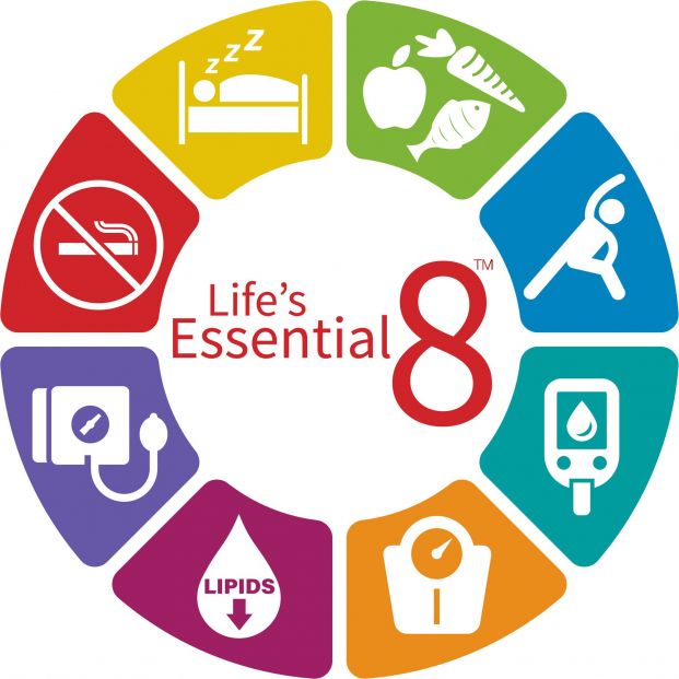 Gráfico de 'Life's Essential'