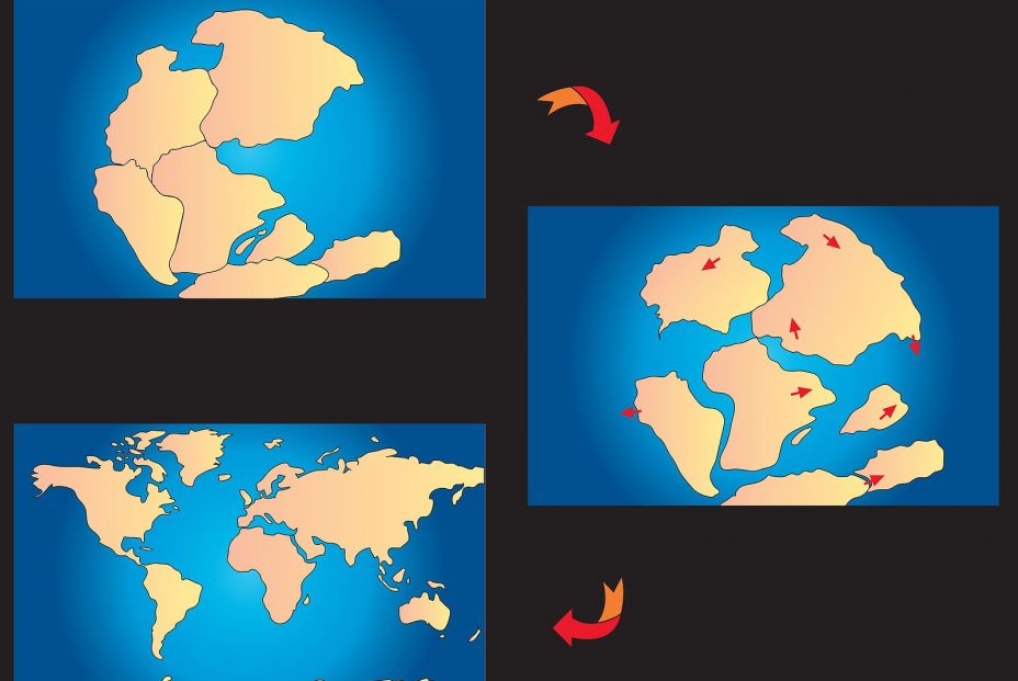Procesos de separación de Pangea (arriba) hasta la ubicación de los continentes actual (abajo). Fuente: Bigstock Procesos de separación de Pangea (arriba) hasta la ubicación de los continentes actual (abajo). Fuente: Bigstock