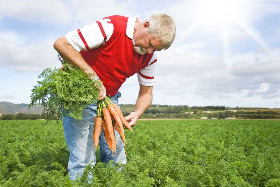 Cultivar soluciones juntos: Del por qué las personas mayores son importantes en la acción por el clima Cultivar soluciones juntos: Del por qué las personas mayores son importantes en la acción por el clima
