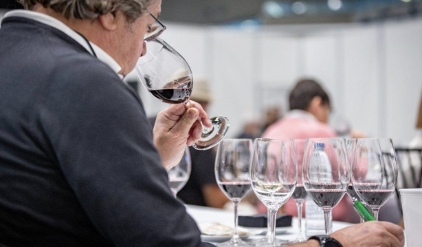 Más de 1.800 vinos de 400 bodegas se reúnen en el Salón de los Mejores Vinos
