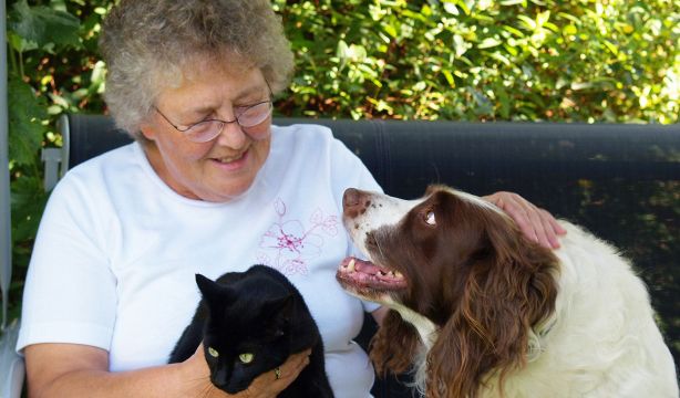 Casi la mitad de los perros y los gatos en España padece alguna patología