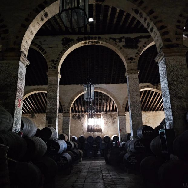 WhatsApp Image 2024 12 03 at 11.00.52 WhatsApp Image 2024 12 03 at 11.00.52