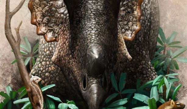 ¿Sabías que los dinosaurios más grandes fueron perdiendo 'inteligencia' debido a su evolución?