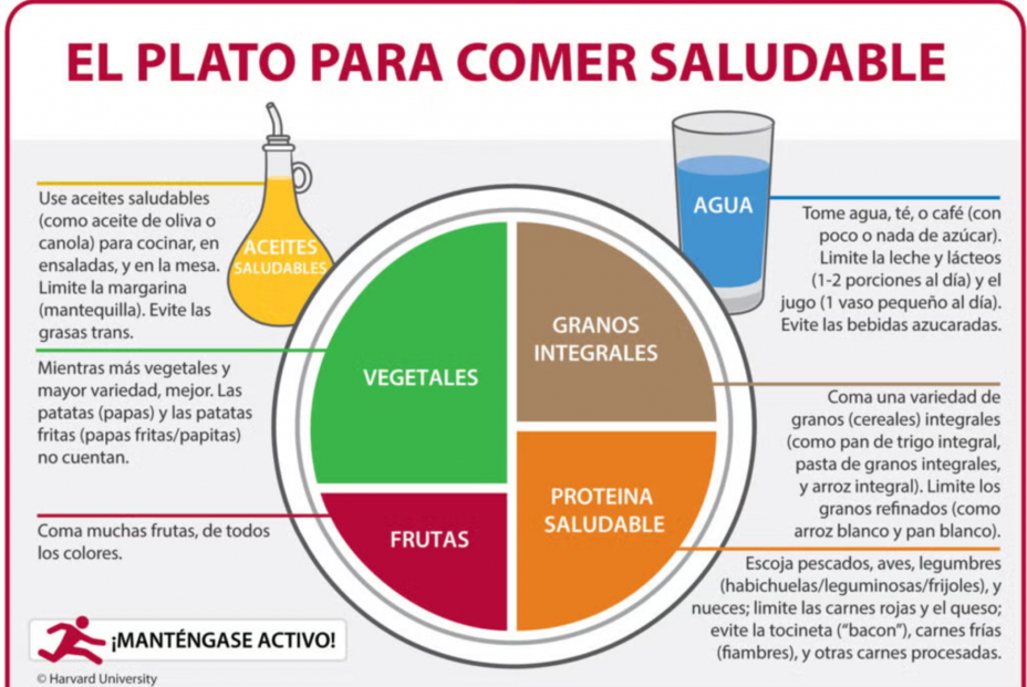 El plato para comer saludable de Harvard. Fuente: Harvard El plato para comer saludable de Harvard. Fuente: Harvard