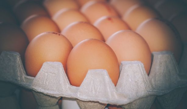 Expertos revelan la forma correcta de almacenar los huevos para evitar riesgos de salmonela