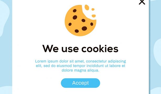 1 de cada 5 españoles no saben lo que son las cookies 