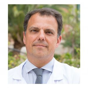 Foto.Lleo.2017.Indiv Foto.Lleo.2017.Indiv