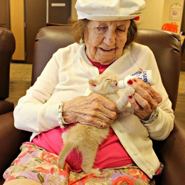 Enfermos con alzhéimer cuidan gatitos. 