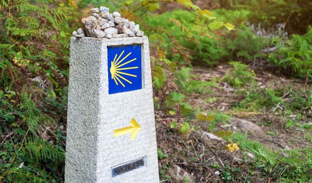 Santiago cierra su mejor cifra de peregrinos en la historia con casi medio millón (Bigstock)