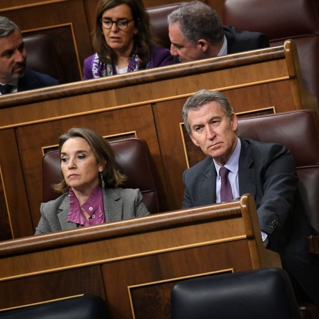 La secretaria general del PP, Cuca Gamarra, y el presidente del PP, Alberto Núñez Feijóo, durante un pleno en el Congreso de los Diputados. Fuente: Fernando Sánchez / Europa Press La secretaria general del PP, Cuca Gamarra, y el presidente del PP, Alberto Núñez Feijóo, durante un pleno en el Congreso de los Diputados. Fuente: Fernando Sánchez / Europa Press