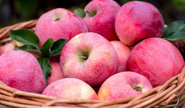 La fibra, aliada para reducir el colesterol: los alimentos que debes tomar