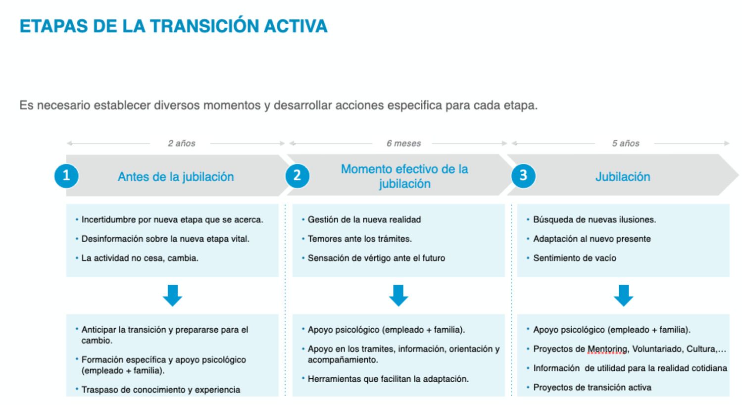 etapas transicion activa (1) etapas transicion activa (1)