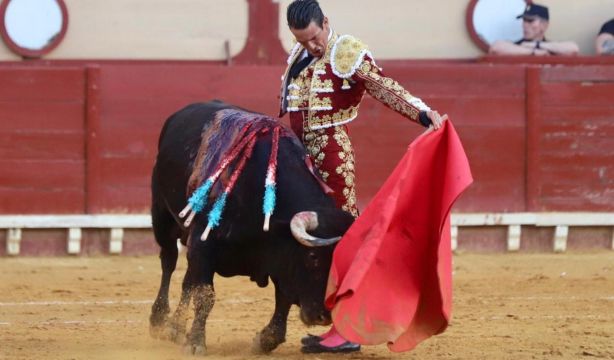 Fallados los premios de la II Edición “Toros en El Puerto” temporada taurina 2025