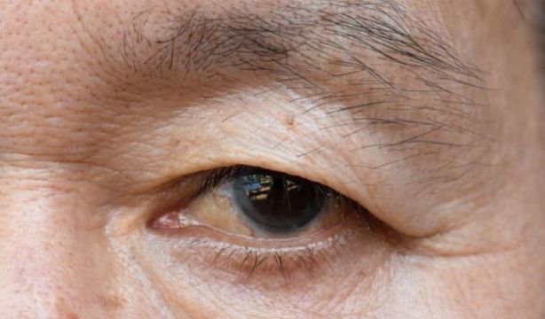 Mujeres mayores japonesas cometen delitos para entrar en la cárcel y huir así de la soledad (Bigstock)