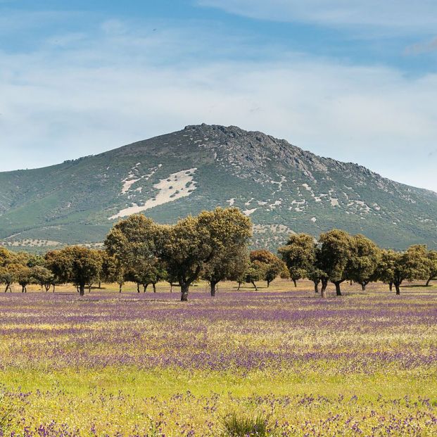 Montes de Toledo Montes de Toledo