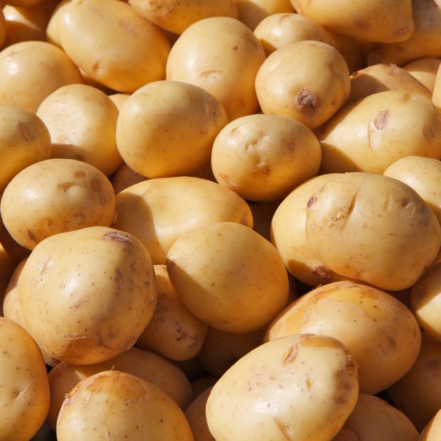 Patatas Oro del Yukón. Fuente: Bigstock