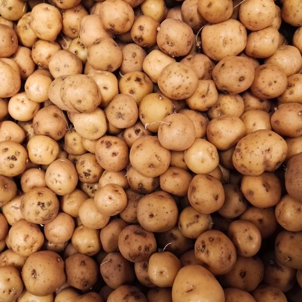 Papas criollas de Colombia. Fuente: Bigstock 