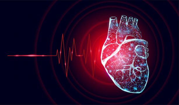 El CNIC redescubre el potencial de un fármaco que puede ayudar al corazón de enfermos de cáncer