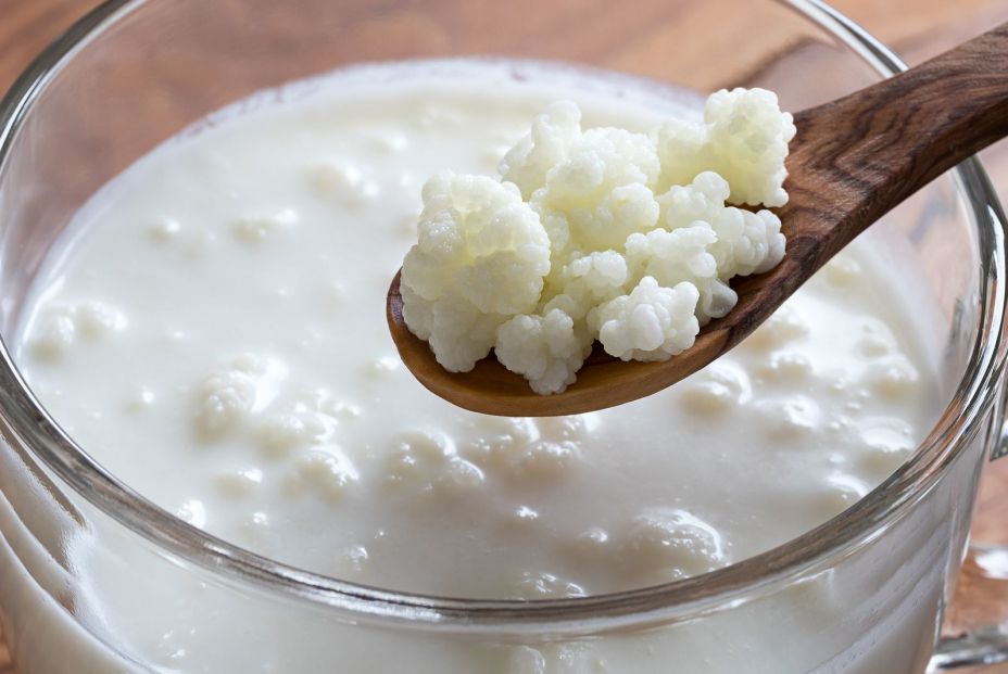 bigstock Kefir Grains On A Wooden Spoon 196918507 bigstock Kefir Grains On A Wooden Spoon 196918507