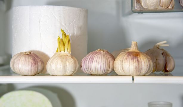 El truco del papel higiénico que te solucionará un problema en la nevera