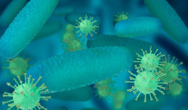 Las infecciones hospitalarias por bacterias multirresistentes provocan más de 20.000 muertes al año (CIBER)